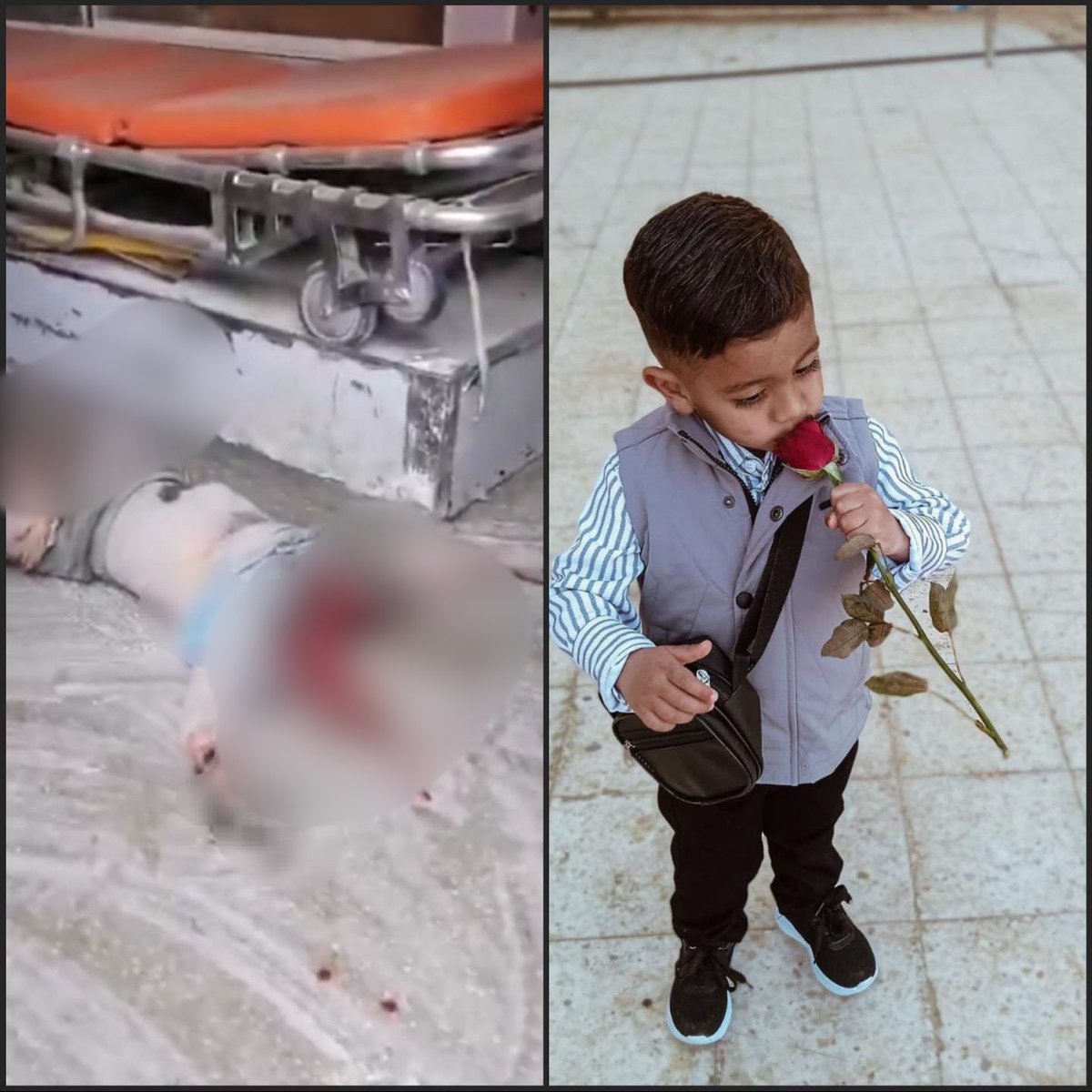 One photo shows a boy smelling a flower. The other shows his lifeless body. Between them: one missile… and a world too silent to care.