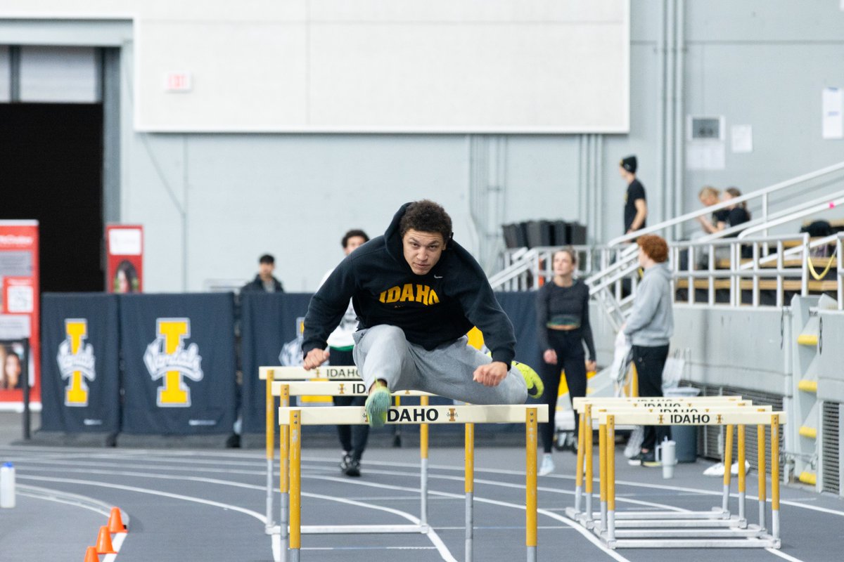 University of Idaho (@uidaho) on Twitter photo Vandal student-athletes put in the work on and off the field. With a record-breaking 3.43 GPA this fall, they’re proving that being a Vandal means excelling everywhere. <a href="/Idaho_Vandals/">Idaho Vandals</a> #StudentAthleteDay Vandal student-athletes put in the work on and off the field. With a record-breaking 3.43 GPA this fall, they’re proving that being a Vandal means excelling everywhere. <a href="/Idaho_Vandals/">Idaho Vandals</a> #StudentAthleteDay