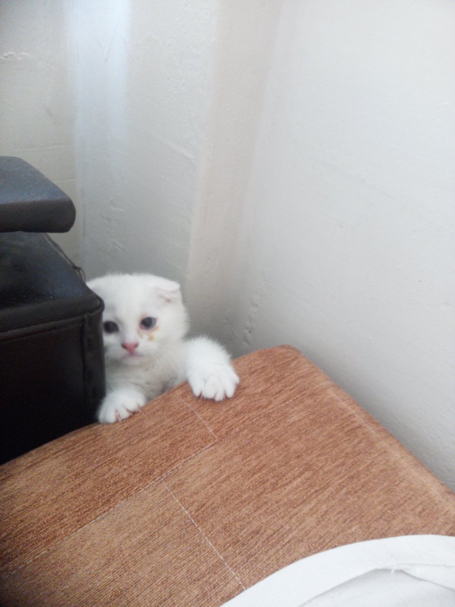 Benim küçük kuzum büyüdü baba olacak ❤️