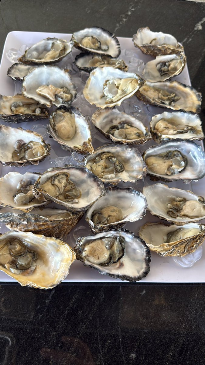 A ver que tal!! #mijos