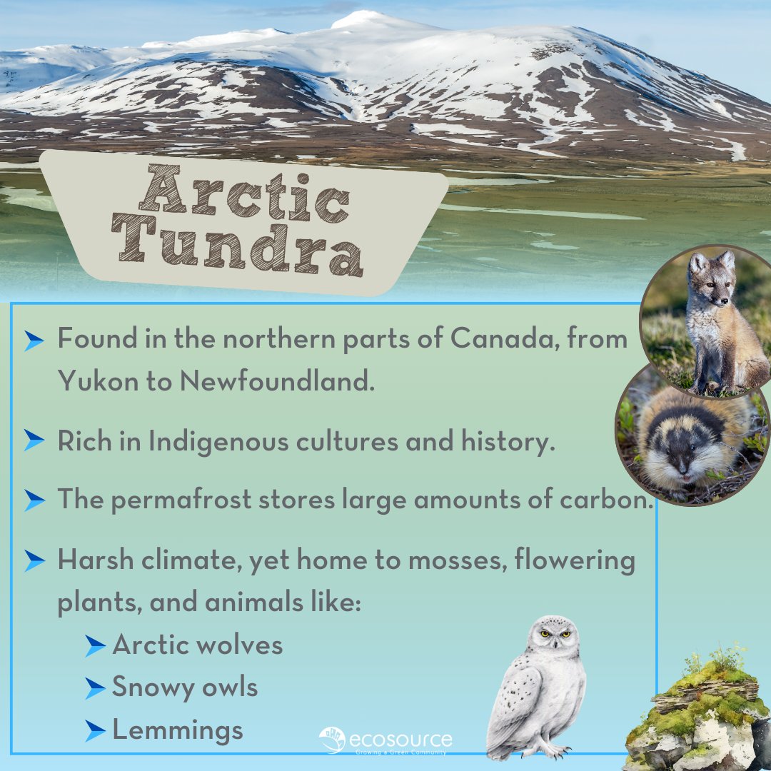 This #NationalWildlifeWeek, we challenge you to learn more about the incredible habitats Canada supports &amp; the species they shelter. Climate change is having an impact on these ecosystems, making it more important than ever to understand their role. Learn: cwf-fcf.org/en/explore/nat…