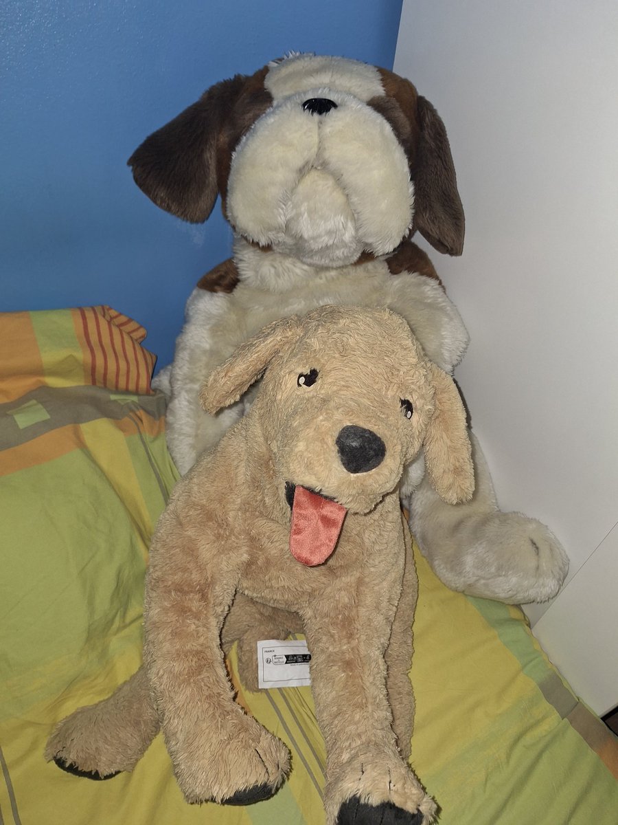 😈🐻🐶🐶🍆💦💦So ein verdammt geiler Haufen und alle sind zum benutzten und richtig vollsauen da ein Traum 🥵🔥🔥scheiß geilen Wixxviecher 😈