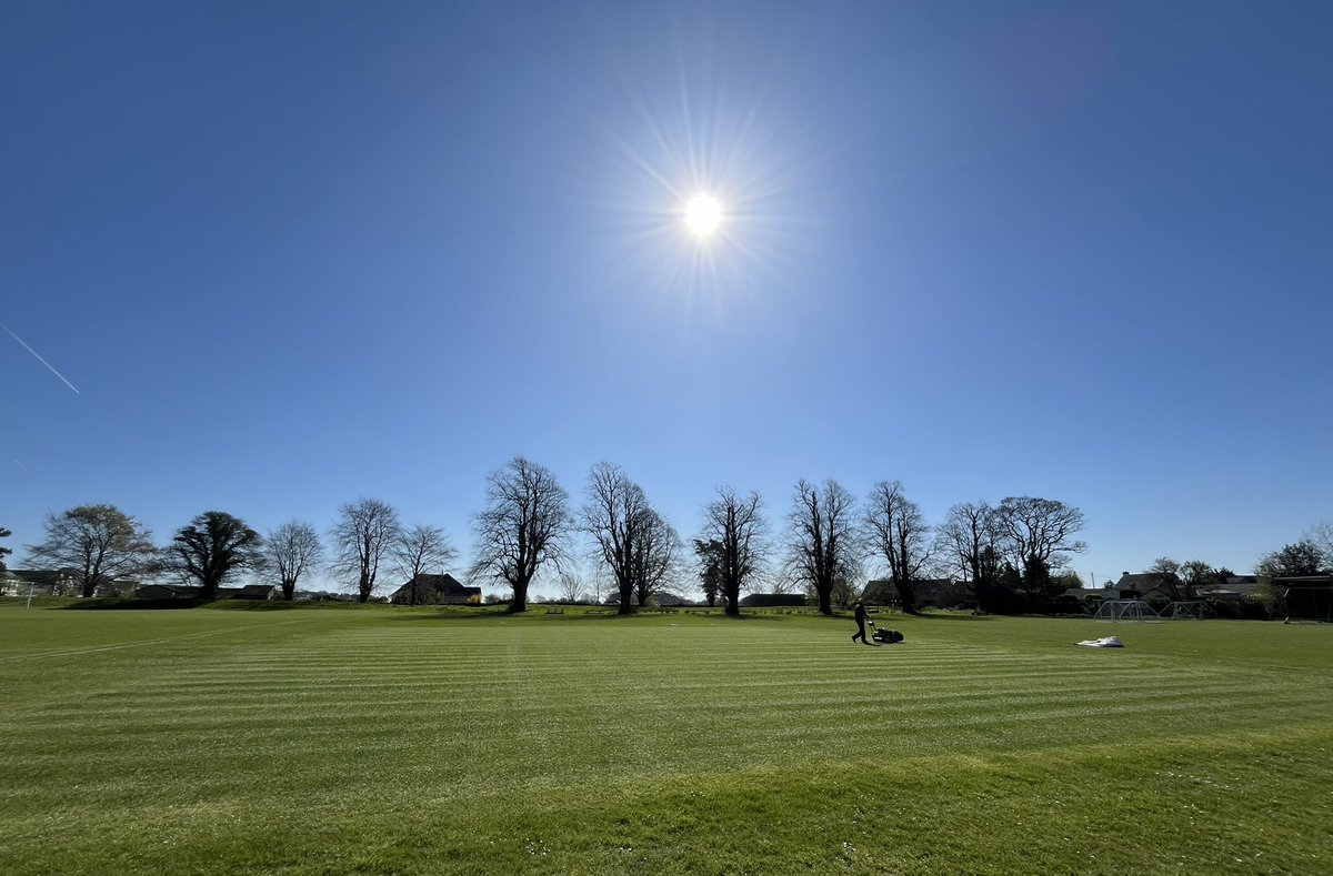 Cricket season incoming 🌞🏏