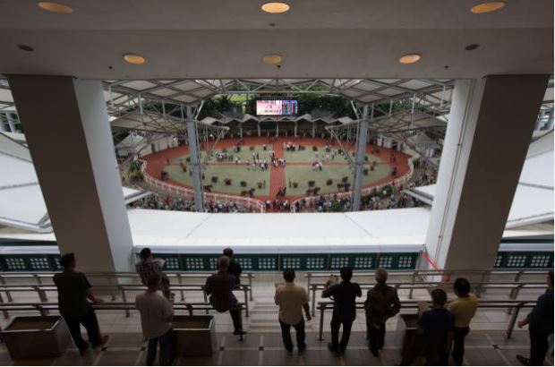 The parade ring at Kranji Racecourse in Singapore (racing ceased at the venue in October, 2024)