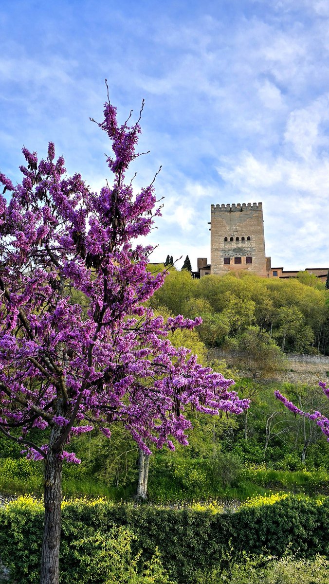Rubén Pardo Martínez tweet media