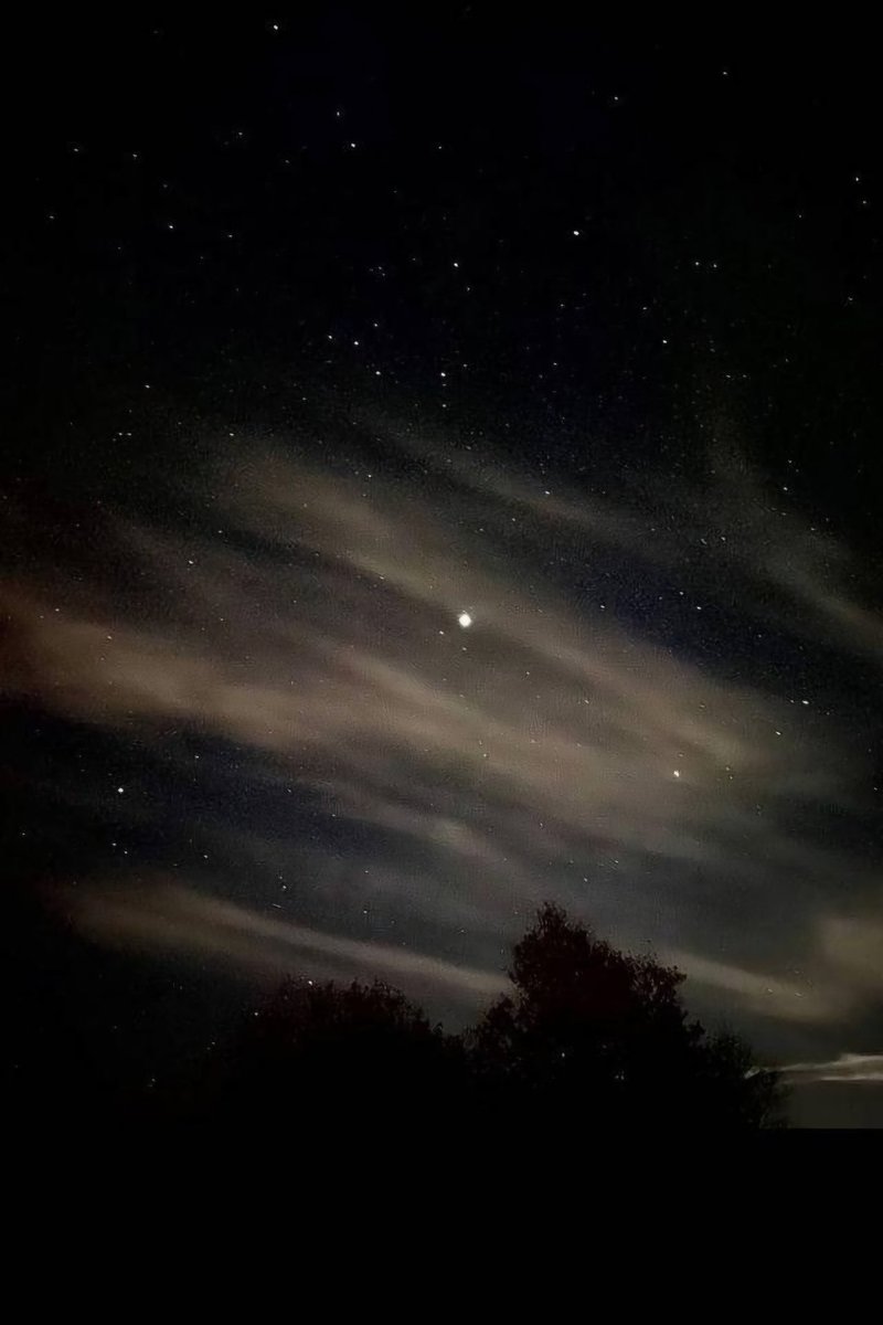 primprosa's tweet image. 