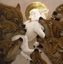 This is how it feels to say that the burritos in the Bay Area are better than those in SoCal