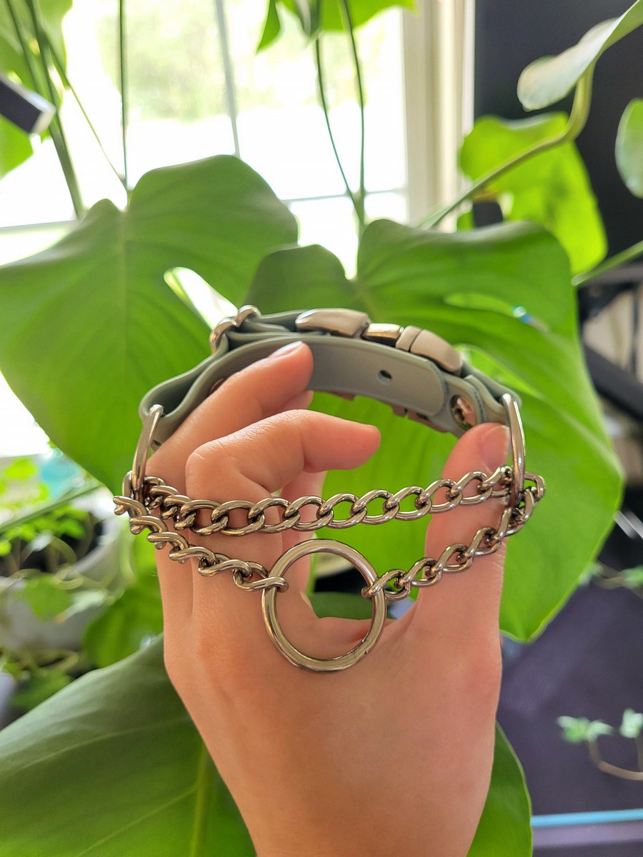 When you need the world's tiniest adjustable waterproof corrosion-resistant martingale collar for your fast-growing 9 week old puppy... AND want to transition it to his final adult size by adding one piece only...

And you have a workshop /uniquely/ equipped for this very thing.