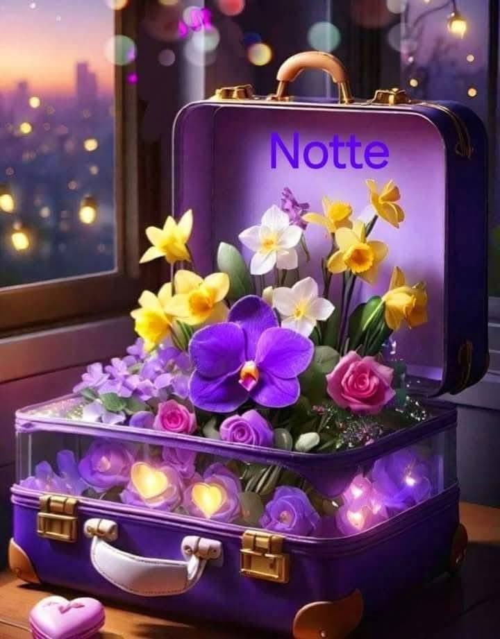 RITABIANCHi56 tweet media