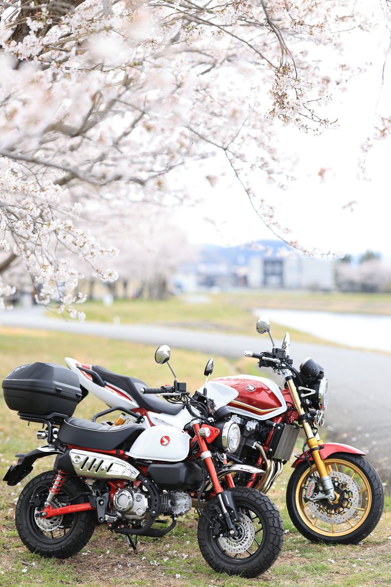 おはようございます☀️
この週末はちょろっとおバイクできましたが、業務量激増につき今後はもしかするとなかなかそうはいきそうにないかもしれません…🥲
自分が出かけられない代わりに、みなさんのおバイクポスト楽しみにしていますね🍀
それでは今週もご安全に👍
