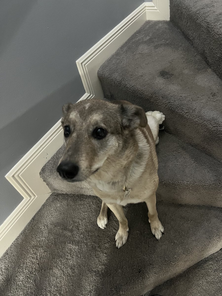 phia | :p tweet media