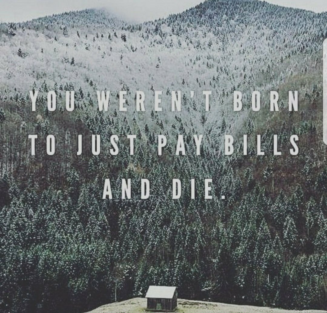 Elizabeth Fournier (@elizfournier) on Twitter photo 