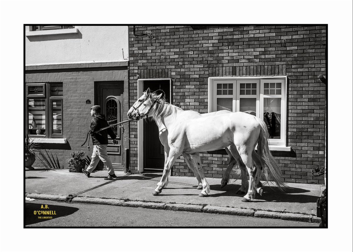 andrewboconnel1's tweet image. The Liberties was a centre for trading and industry, with horse-drawn carts playing a crucial role in transport and commerce for hundreds of years. The local community today continues a long-standing connection with horses, from working-class livelihoods to cultural heritage.