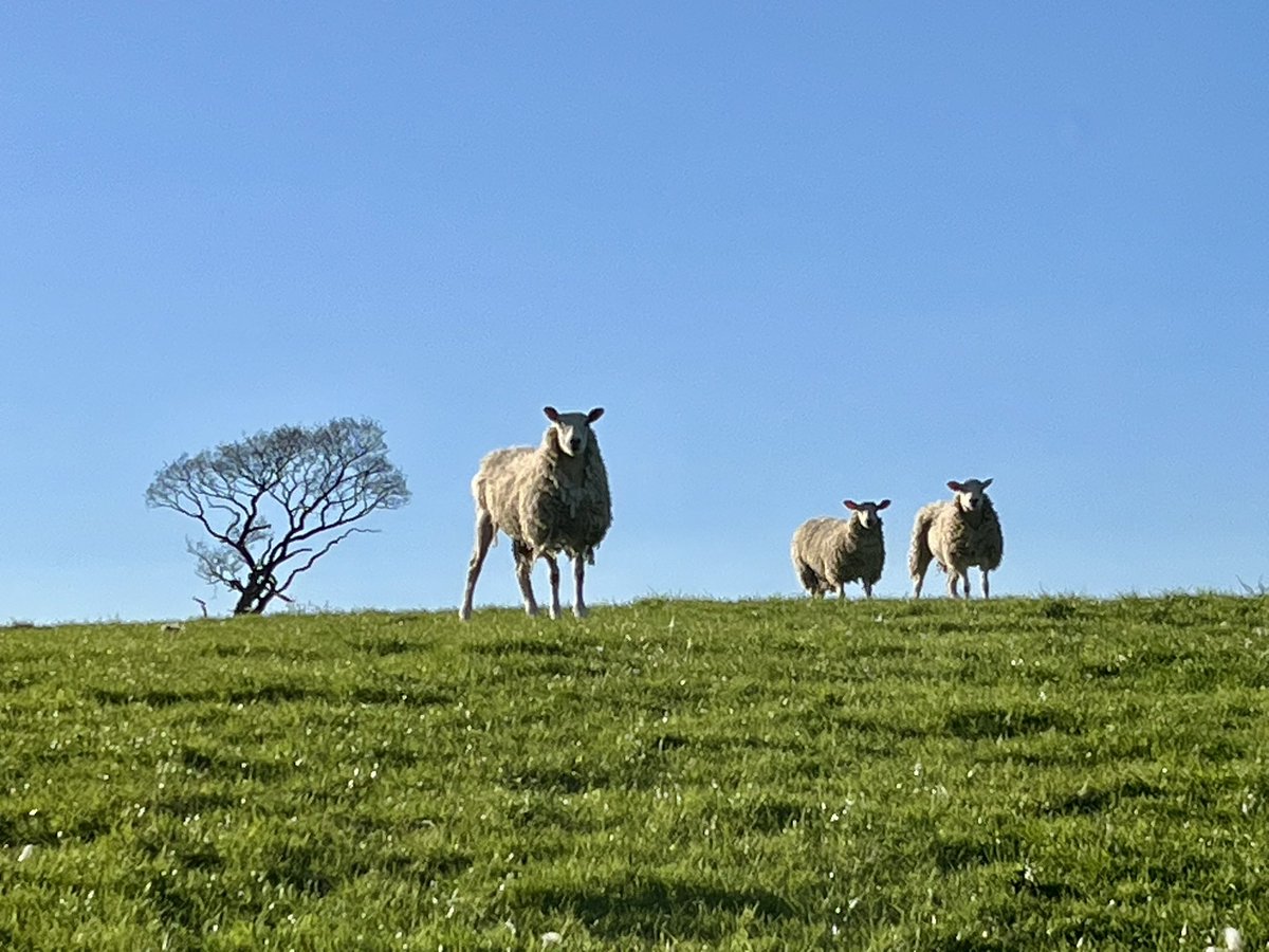 Spring!