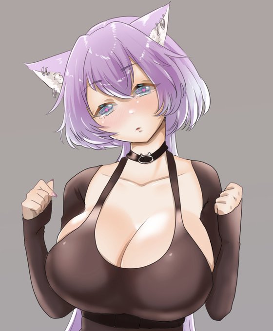 おはにゃんこー 