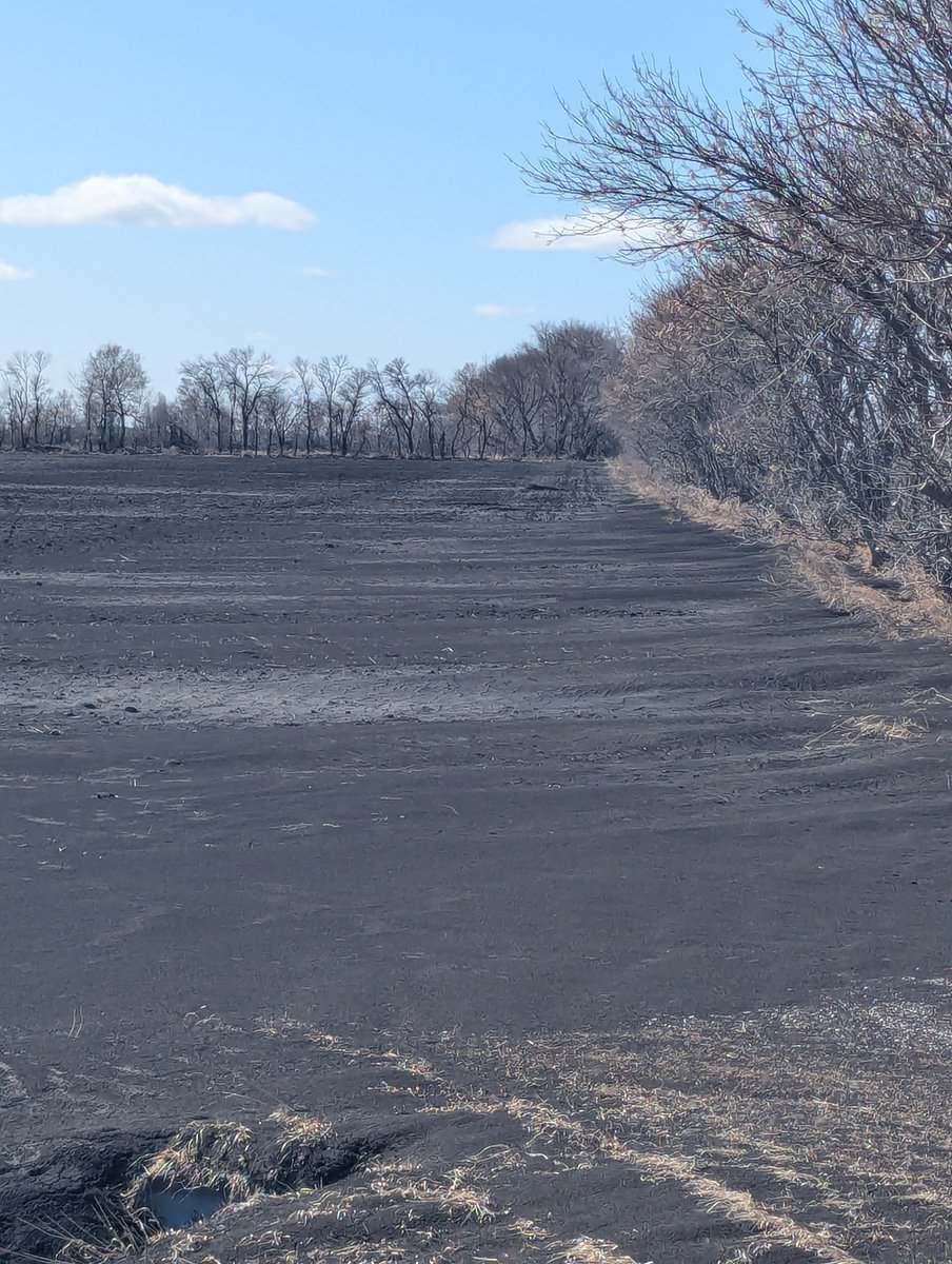 One of the most important parts of a farm is the topsoil. I wonder how much productivity was lost this year on these farms? #knowthedirt