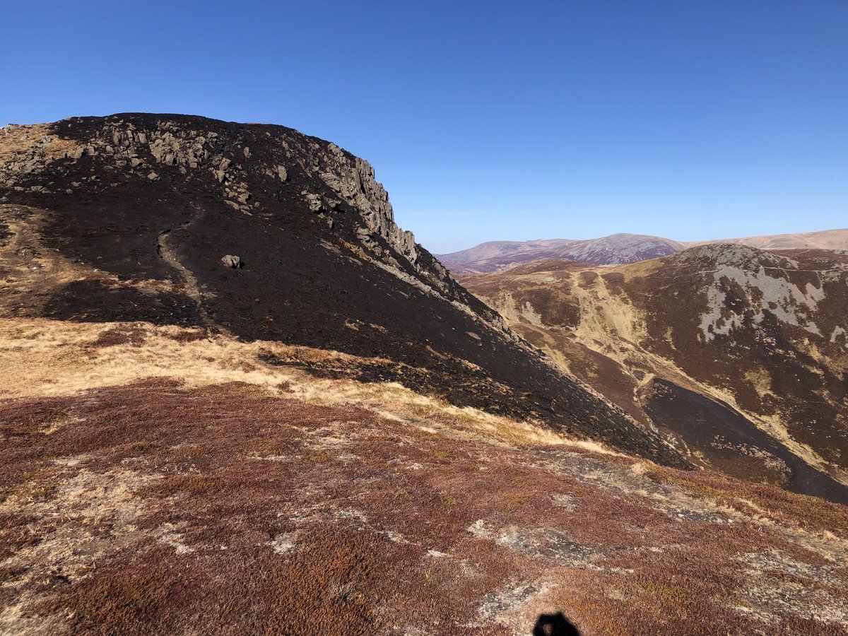 LandscapeAngus's tweet photo. These crags should be full of rowan trees, mountain willows and flowers https://t.co/e0AdutSwLg