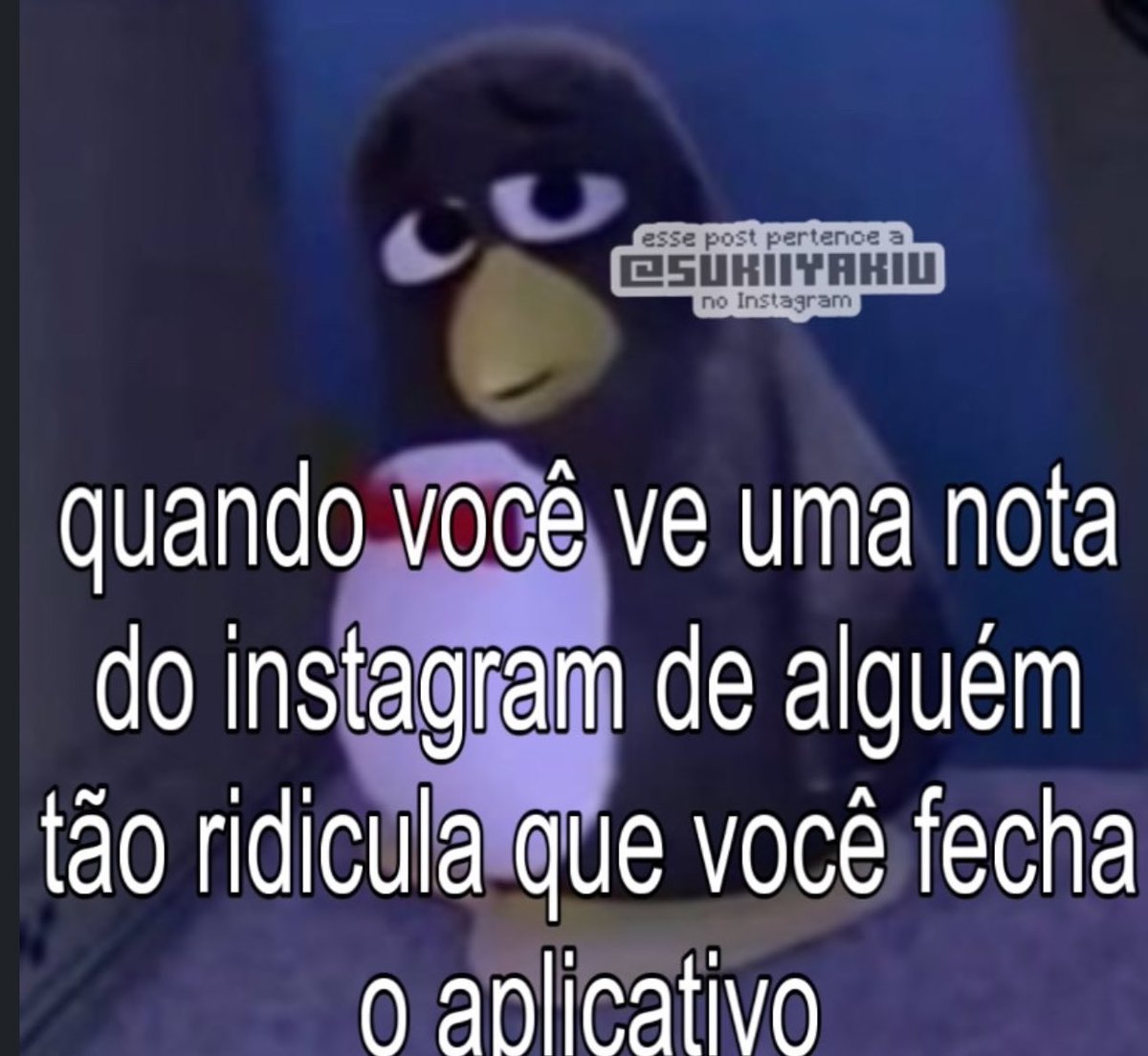 Shitpost só que de verdade (@shitpostverdade) on Twitter photo 