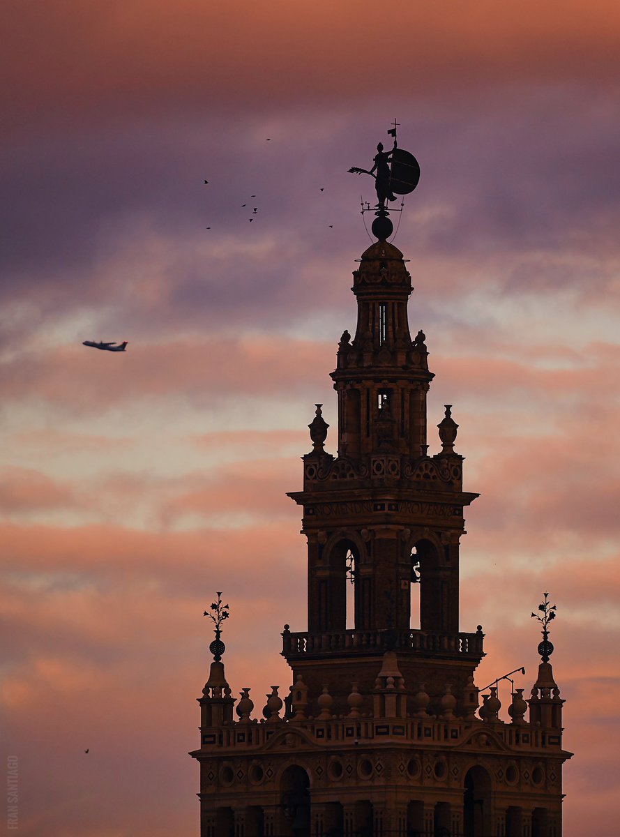 SantaSevilla tweet media