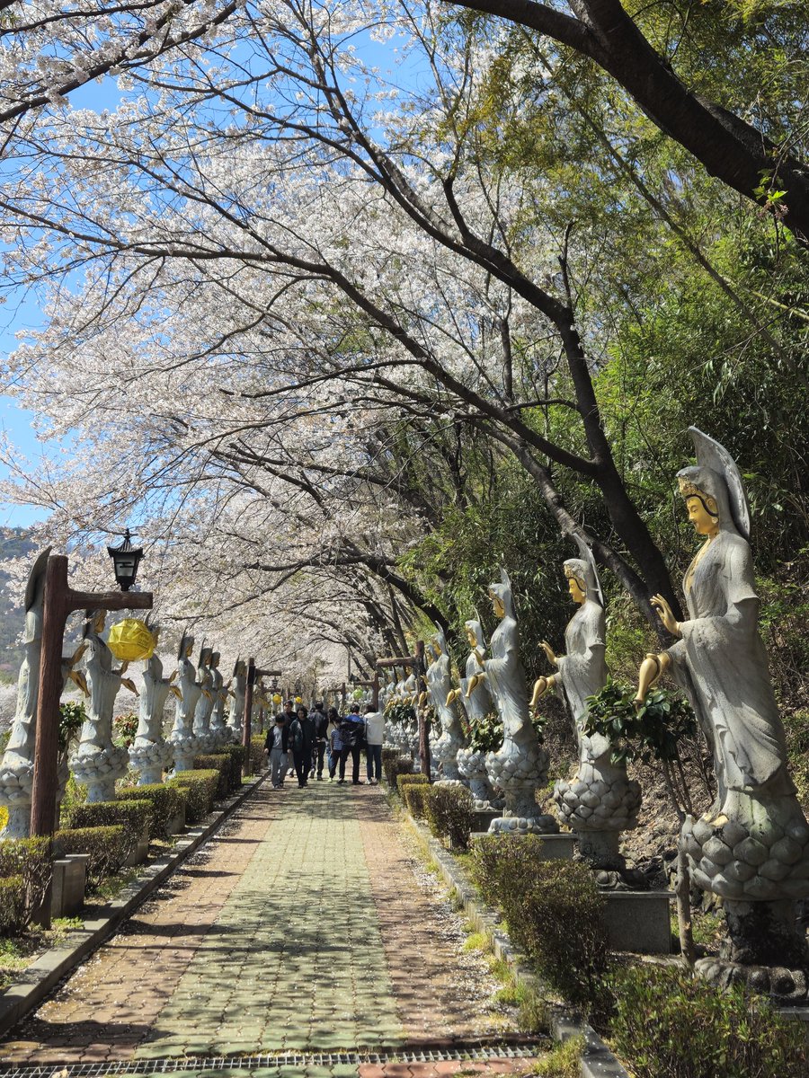 의령을 다녀왔다.
수암사
카메라가 보여주는 세상