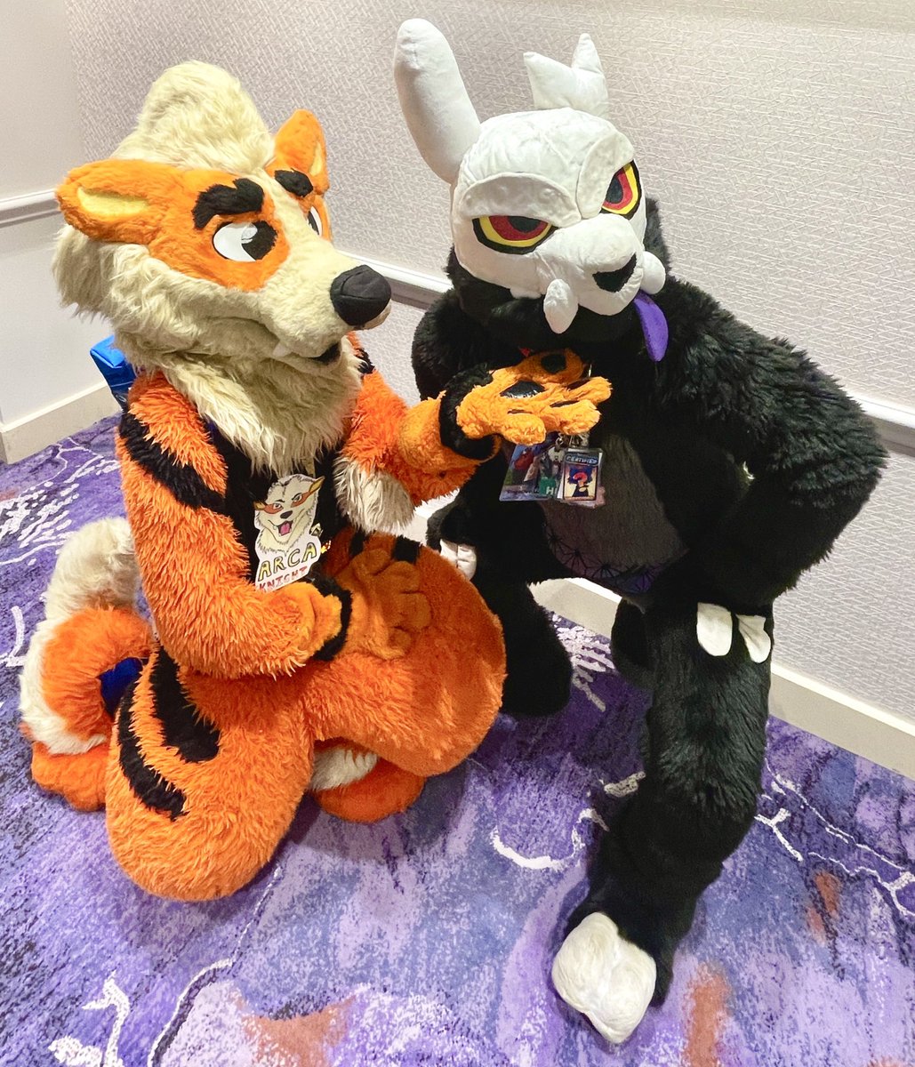 Vox Fox@LVFC (@minstrelbill) on Twitter photo It’s Arca Knight the Arcanine (tag appreciated) and The Owl House’s King (<a href="/SiegeDaWolfsky/">Siege@Furlandia&Megaplex2025</a>) at the Pokefur panel, #GSFC2025 last weekend. It’s Arca Knight the Arcanine (tag appreciated) and The Owl House’s King (<a href="/SiegeDaWolfsky/">Siege@Furlandia&Megaplex2025</a>) at the Pokefur panel, #GSFC2025 last weekend.