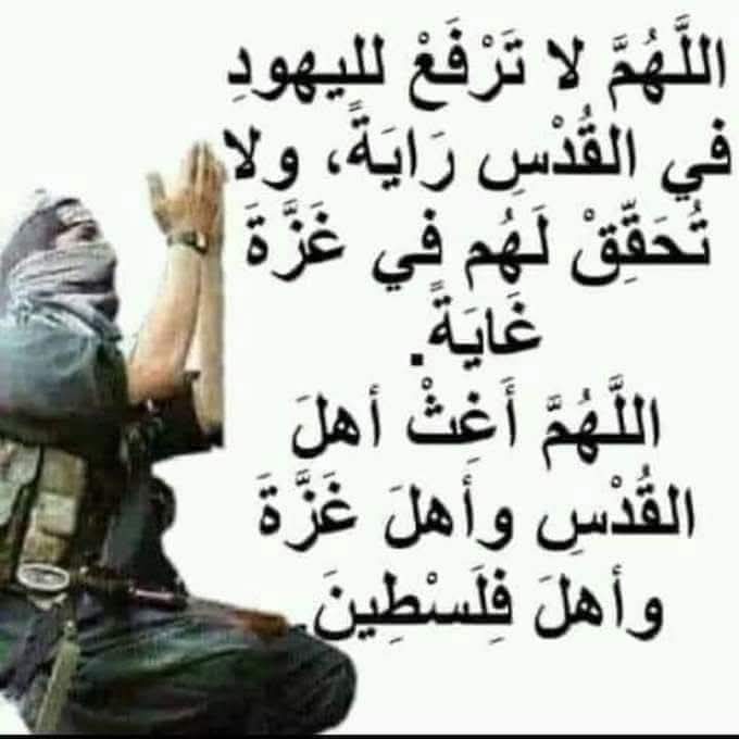 المصحف | فيديو (@quran__video) on Twitter photo 