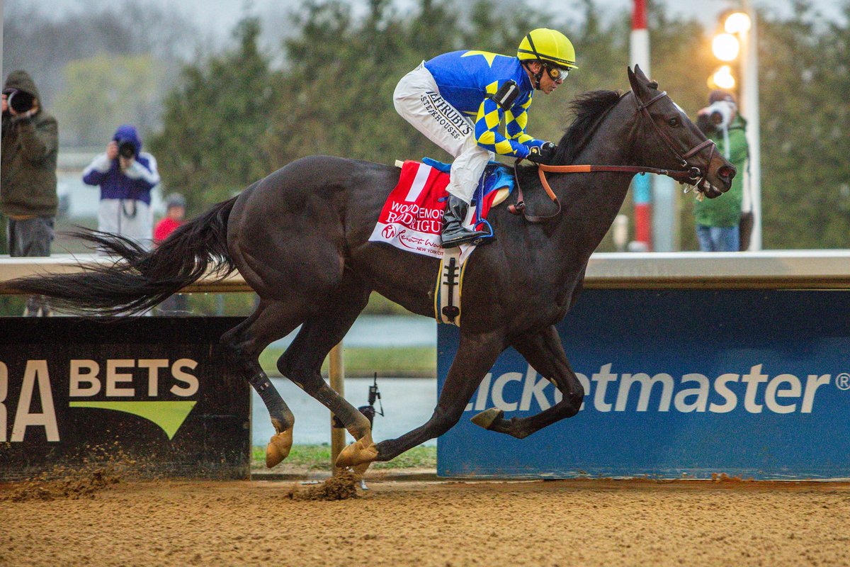 EclipseSports's tweet photo. Coast-to-Coast Showdown! 🌟 

Which Derby prep performance left you speechless? 🤯

East Coast Thriller: RODRIGUEZ and @mikeesmith10 dominated the Wood Memorial! 🏆

West Coast Wonder: JOURNALISM and @umbyrispoli shone bright in the Santa Anita Derby! 🌟

📸 Sue K. @angelnumber25 https://t.co/gobR2t4qdW