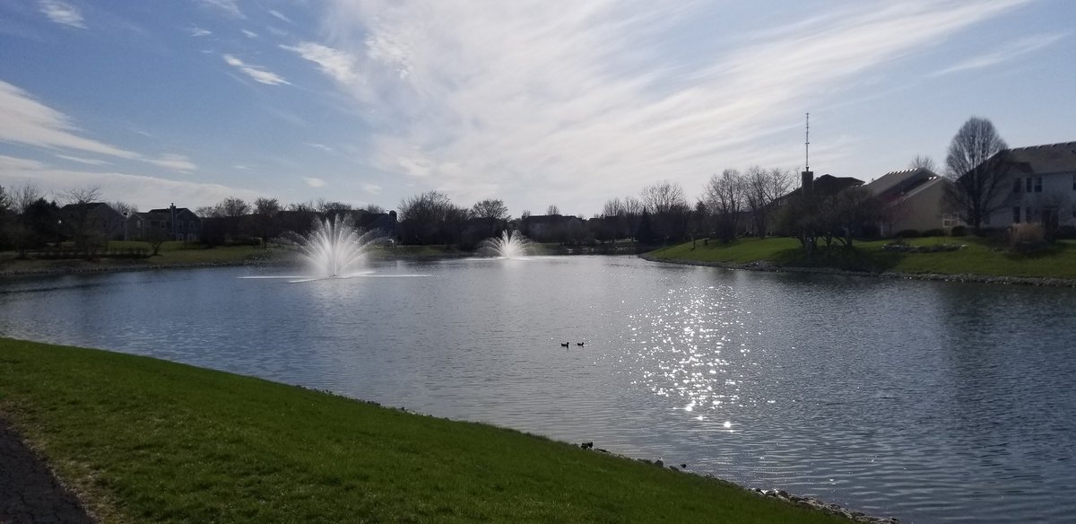 Randy_SAVGE's tweet photo. go foR a walk 🏞 https://t.co/9AHIRpRQtV
