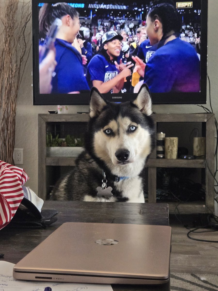 His favorite meal is chicken!