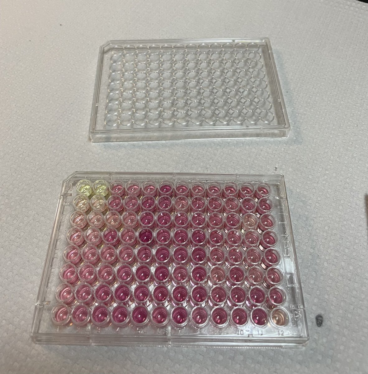 FloresPliego's tweet photo. Measurement of total collagen content in fetal membranes with the #abcam @abcam kit #ab222942 Fast and highly sensitive. https://t.co/zQquGYg3Sw