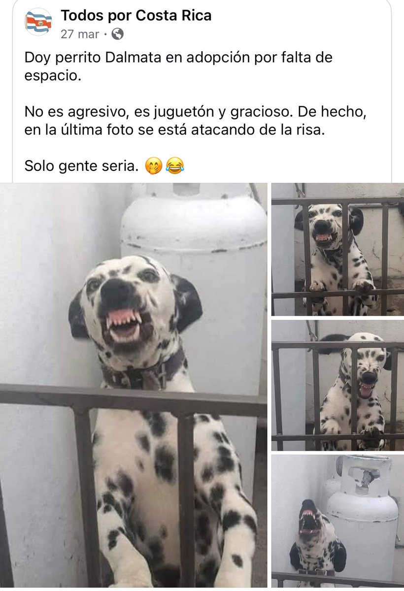 ManraidMG's tweet image. No me lo creo 🤭