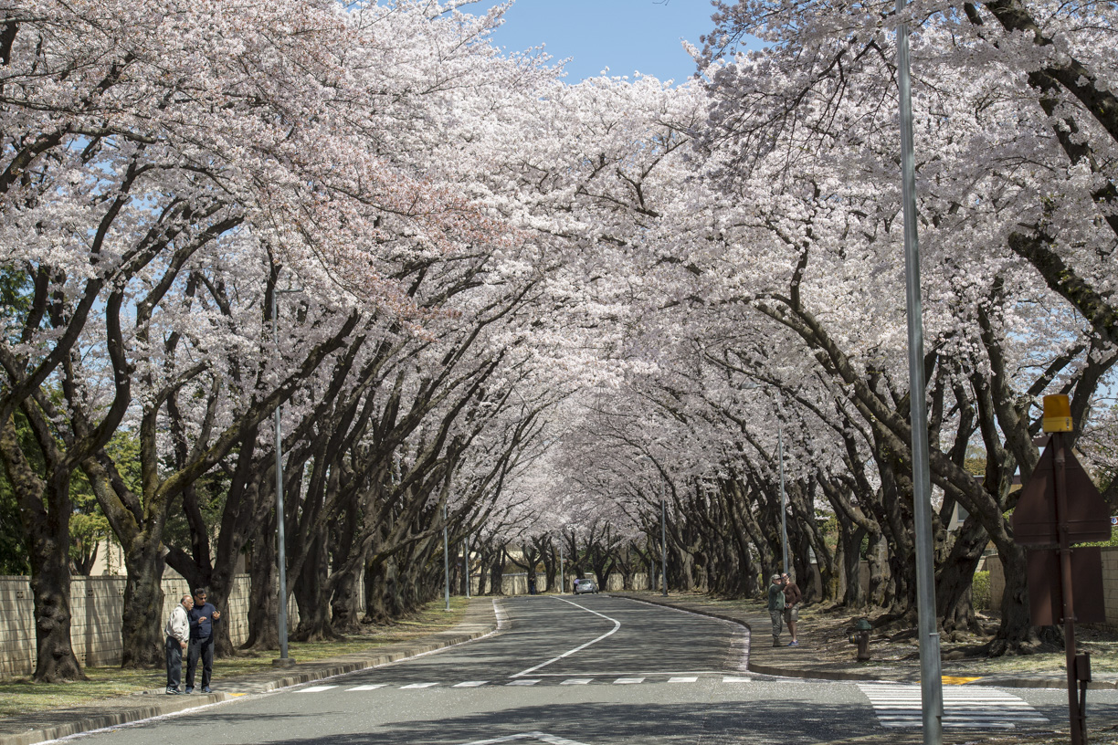 Yokota Air Base 横田基地 on X: 