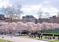 Rgt71Robert's tweet image. A library is not a luxury but one of the necessities of life.” Henry Ward Beecher

Really great to have a tour of Swiss Cottage Library. It is housed in Basil Spence’s architectural gem of a building (1963-64). It s a great space which @CamdenLabour have significantly improved to…