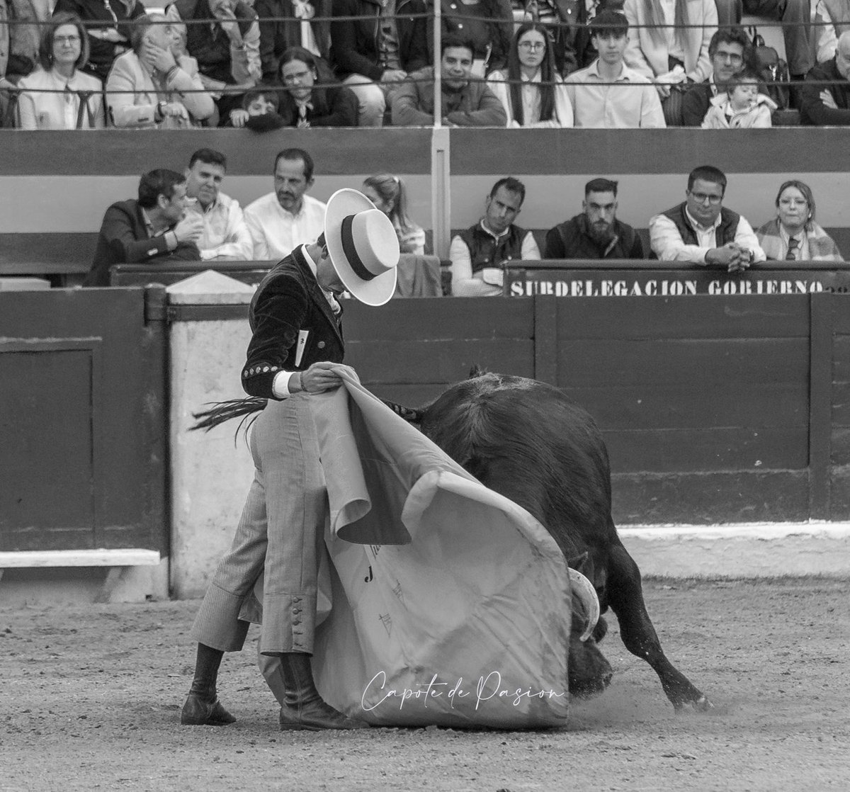 Festival <a href="/ftgranadadown/">Festival GranadaDown</a> 
<a href="/JavierZuluetaM/">Javier Zulueta Muñoz</a> <a href="/TorosGJimenez/">GarciaJimenez</a> 
<a href="/funtausa/">Funtausa</a> 📸<a href="/CapotedePasion/">Capote De Pasión</a>