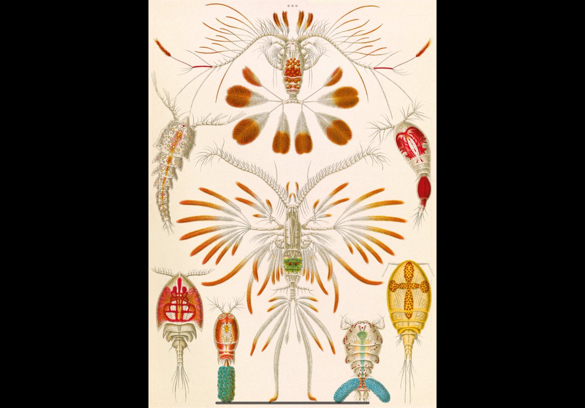 3PennyMovies's tweet image. #DarwinDay
humanists.uk/education/darw…
youtu.be/pdv_JNKurso?si…
youtu.be/gwa-kU2HpP8?si…
davidhume.org/texts/t/1/full
pbs.org/video/scopes-m…
gutenberg.org/files/5827/582…
amazon.ca/stores/author/…
billboardchris.com
youtu.be/3bTjWEzw63A?si…