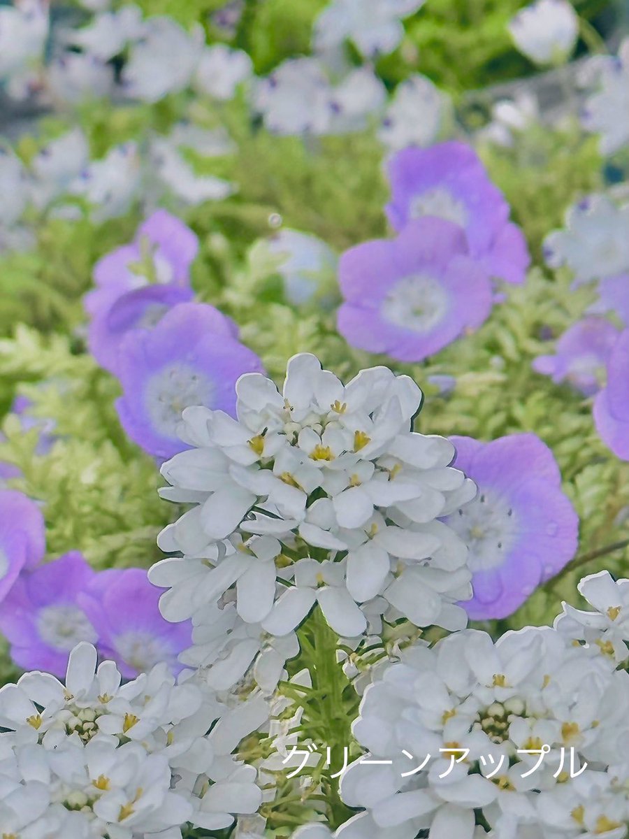 綠意家園 每個行動都充滿愛.ixm