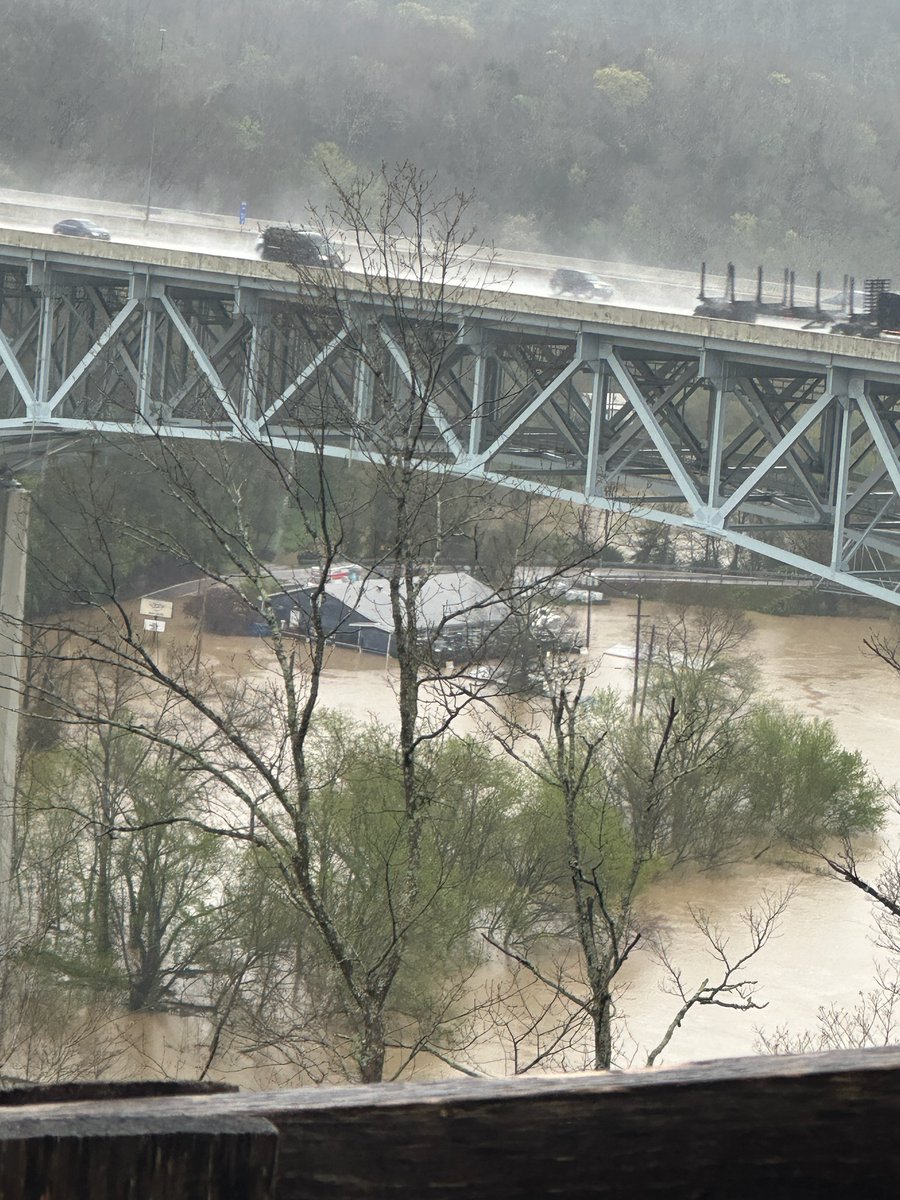 Hey from Eastern Kentucky!!  We're getting lots of rain and need it it to STOP!
So sad to my hangout almost under water, again.
What's your weather like ☂️🌈🌬🌞❄️🔥