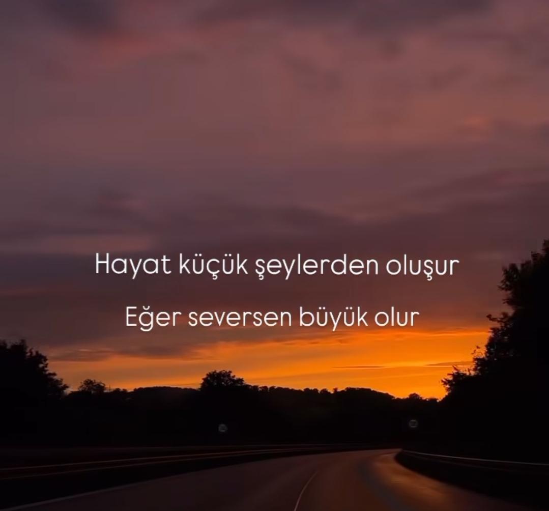 Siam 𐱅𐰼𐰇𐰰🇹🇷 tweet media