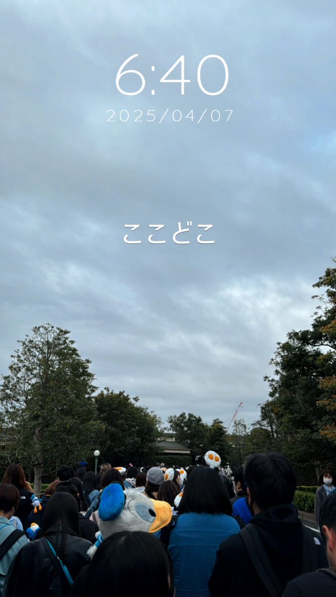 y_disney_22's tweet photo. セレブレ6:10発のバスでキャリー詰めてここだった☺ https://t.co/pHp1ZYyv0E
