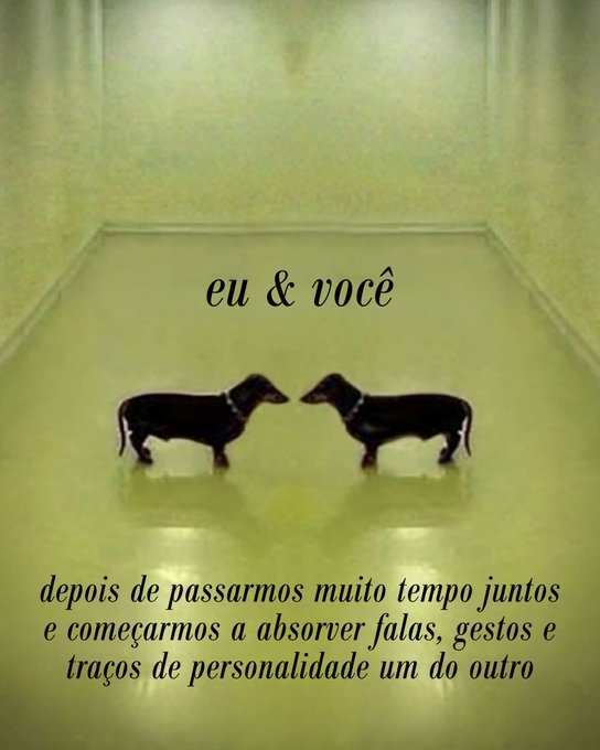 masturbe o cérebro e goze ideias tweet media