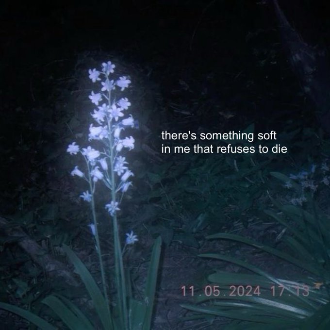 soft