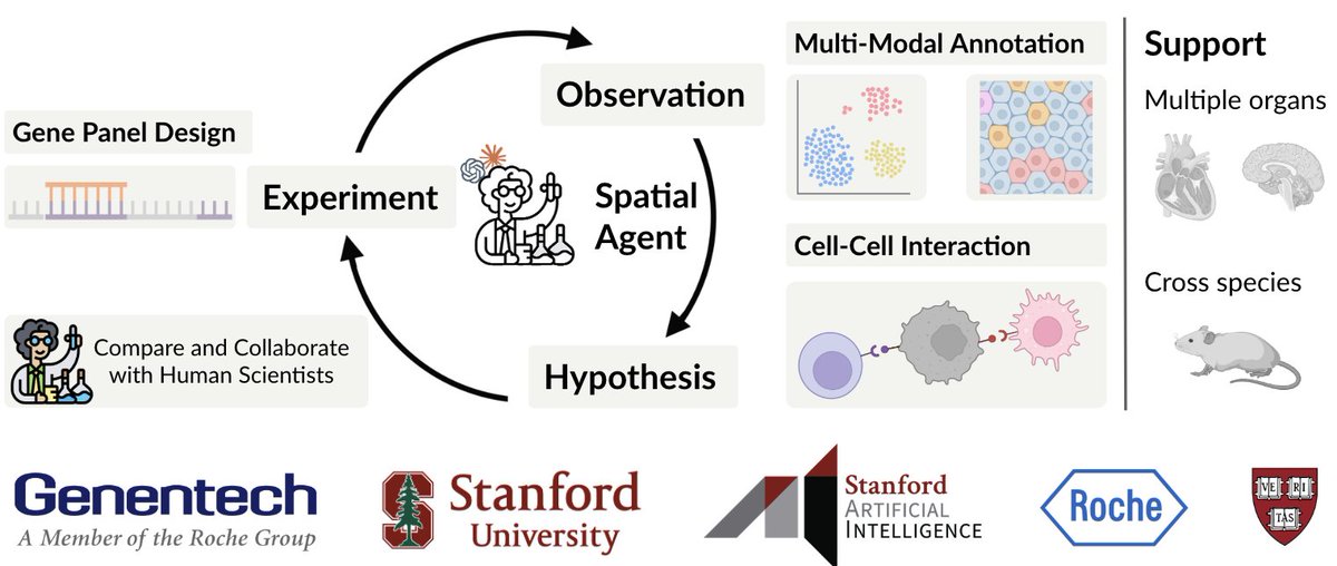 🌟Meet SpatialAgent: an AI agent for spatial biology (a key tech to understand cancer and develop therapies)

It rocks from experiment design to data analysis to hypothesis generation. It supports multi-organs, spans species, and can work alone or team up with human scientists🧑‍🔬