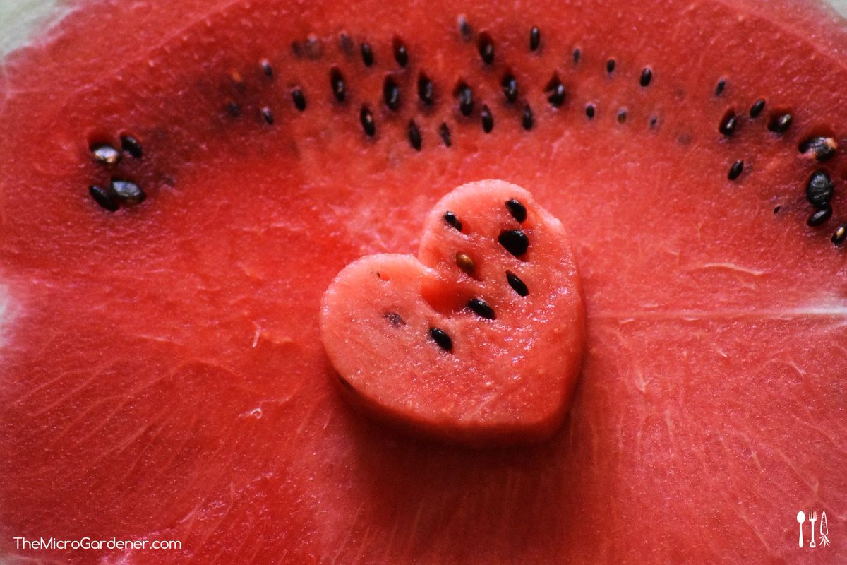 Micro_Gardener's tweet photo. #WATERMELON is so much more than just a highly refreshing summer fruit. A growing body of clinical research confirms it is a truly medicinal food. The seeds are also high in protein. #foodismedicine  https://t.co/bMyhW4L0te https://t.co/05YEKHPHwP