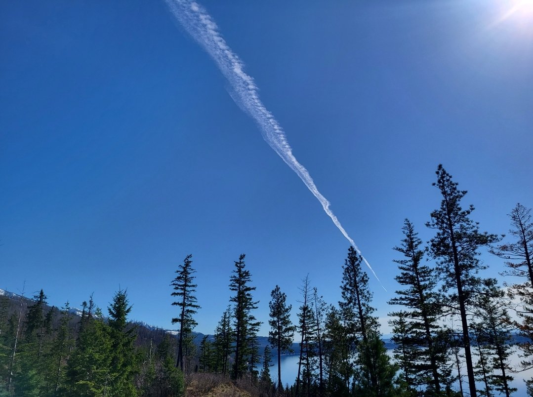RxGF's tweet image. Turkish Airlines spraying CHEMICALS on Americans on  U.S.A. soil en route From Istanbul to San Fransisco. 

Captain and Airline should be held responsible and accountable. These people threaten the United States of America.

DOCUMENTED!!!