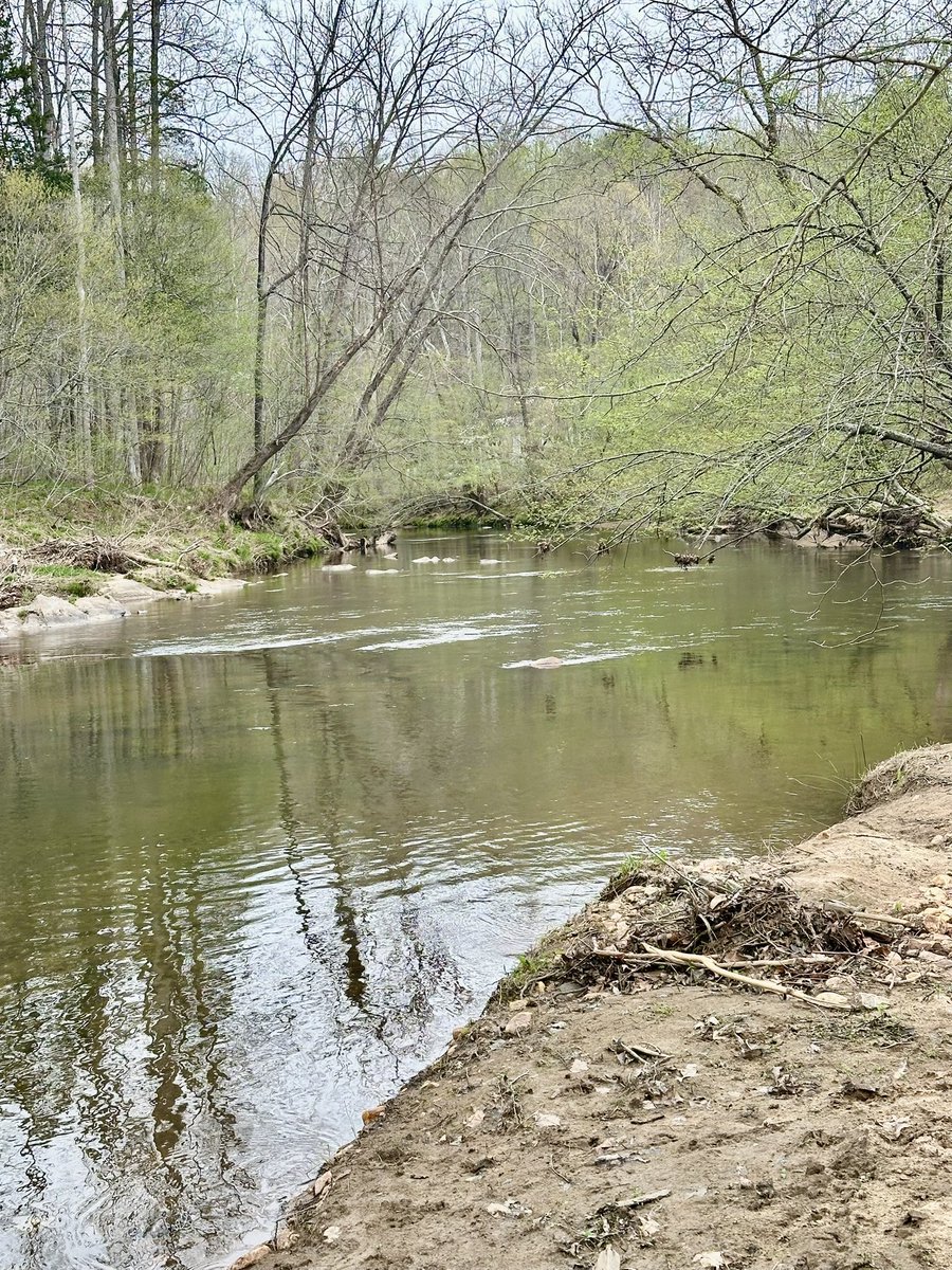 The Appalachian Podcast tweet media