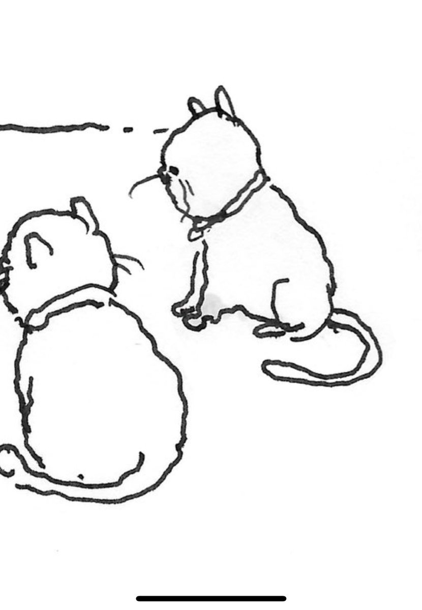 Evan Breath You Tate tweet media