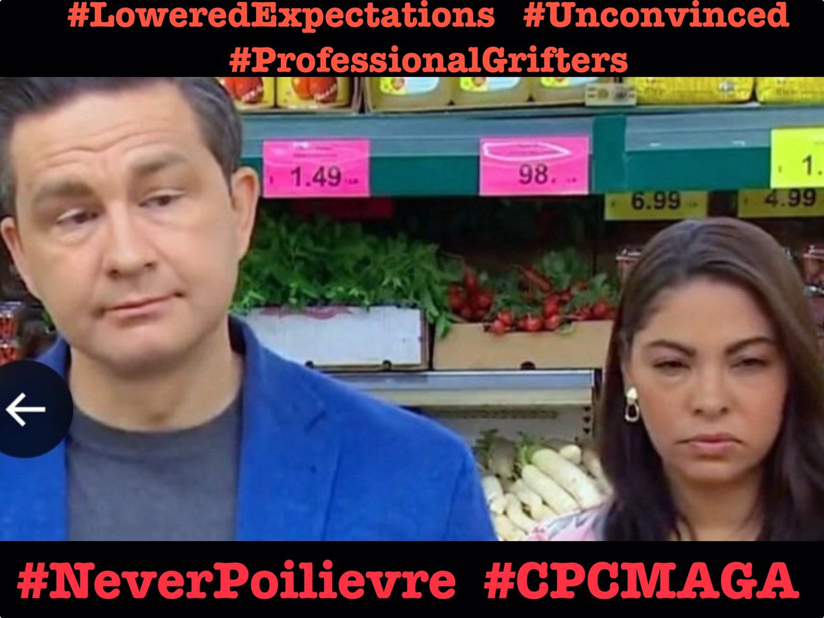 Lady_Marushka's tweet photo. @PierrePoilievre #CdnMediaChallenge
Try researching/exposing the trend of cpc possibly trying to #FloodTheBallot in ridings they can’t afford to lose INCLUDING #PierrePoilievreIsMAGA’s own riding #Carleton
No low too low 4 #NeverPoilievre #CPCMAGA #FollowTheMoneyTrail
@NDP @liberal_party @CBC https://t.co/Np3aJZH0hG