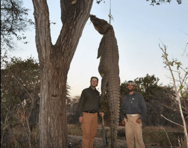 Don Winslow tweet media