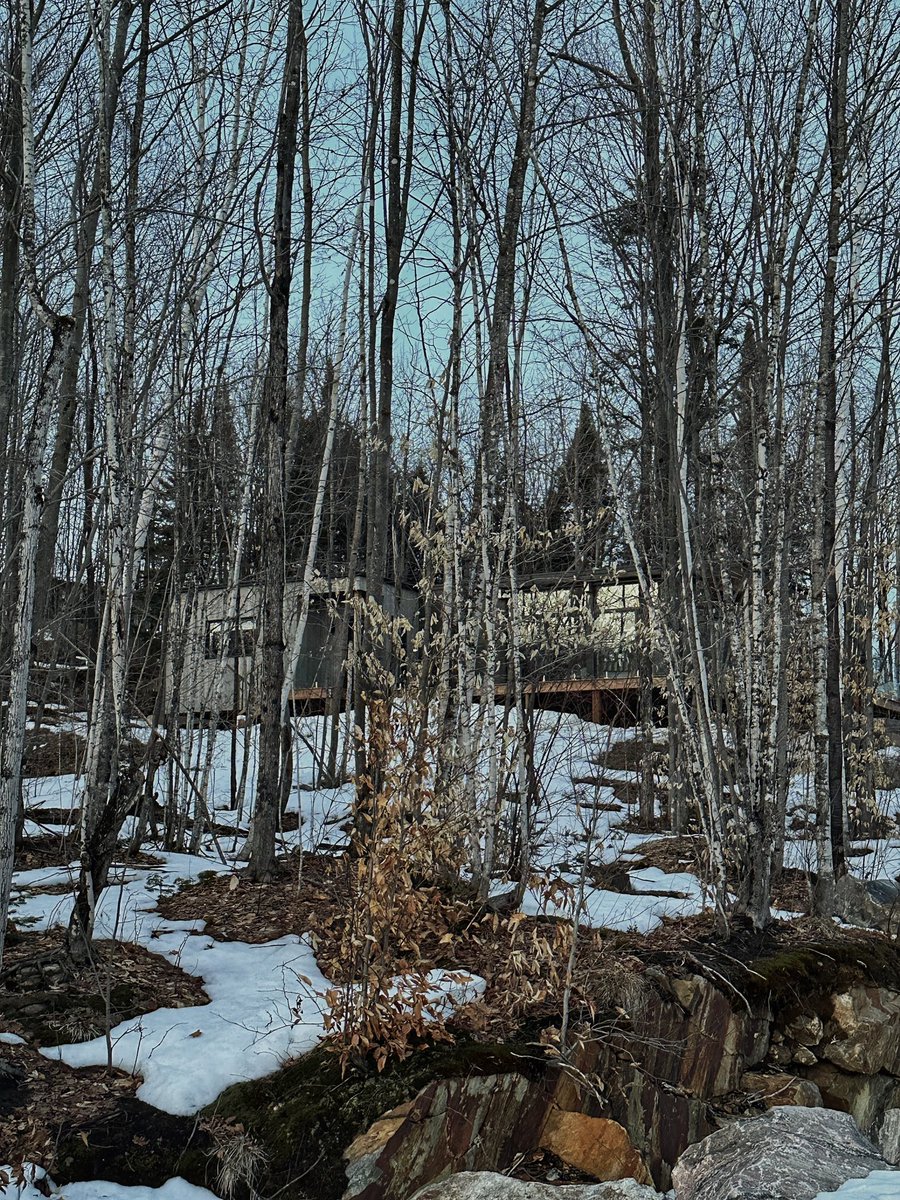 cabin in the woods 🪵 <a href="/hintercompany/">hinter</a>