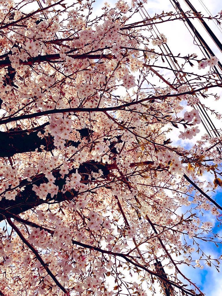 おはようございます🌸
また1週間が始まってしまいましたが、頑張りましょ😘